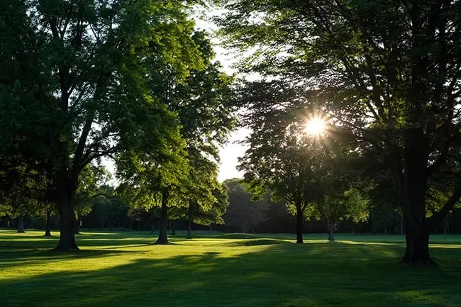 no advanced tee times